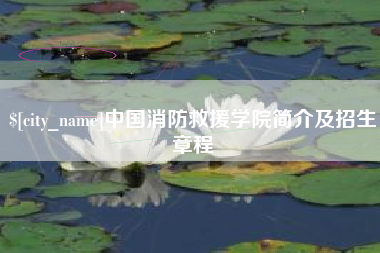 霸州中国消防救援学院简介及招生章程