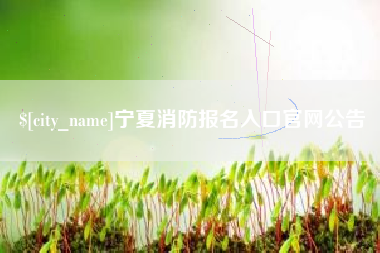 霸州宁夏消防报名入口官网公告