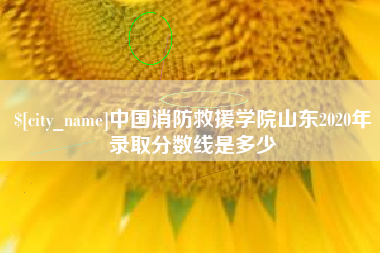 霸州中国消防救援学院山东2020年录取分数线是多少
