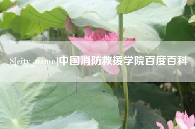 霸州中国消防救援学院百度百科