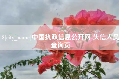霸州中国执政信息公开网-失信人员查询页