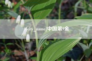 霸州中国第9金