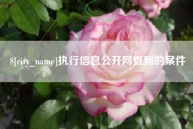 霸州执行信息公开网查到的案件