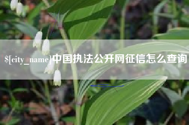 霸州中国执法公开网征信怎么查询