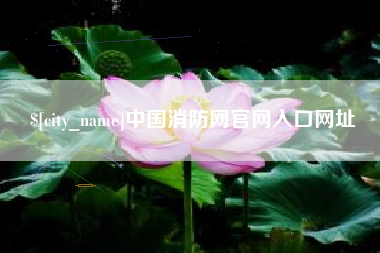 霸州中国消防网官网入口网址