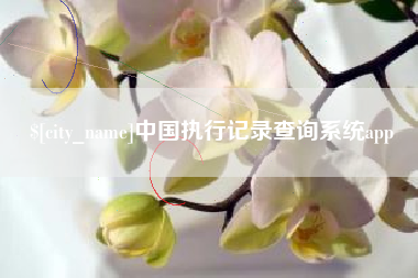 霸州中国执行记录查询系统app