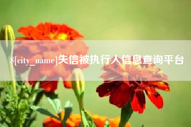 霸州失信被执行人信息查询平台