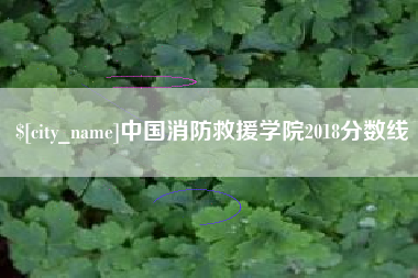 霸州中国消防救援学院2018分数线
