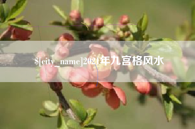 霸州2021年九宫格风水