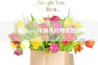 霸州中国执行网信息官网