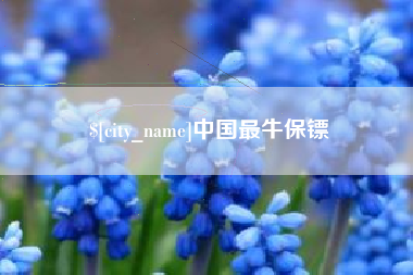 霸州中国最牛保镖