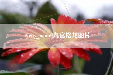 霸州九宫格龙图片
