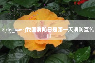 霸州我国消防日是哪一天消防宣传日