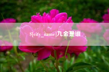 霸州九金是谁