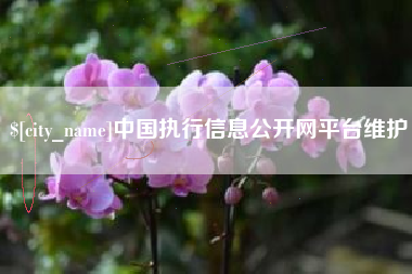霸州中国执行信息公开网平台维护