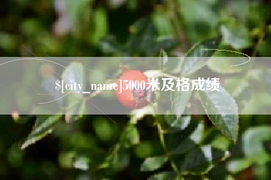 霸州5000米及格成绩