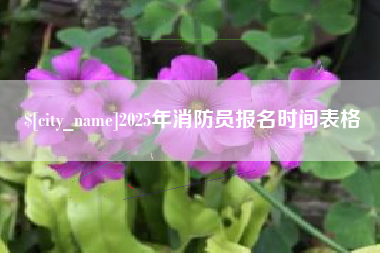 霸州2025年消防员报名时间表格