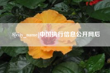 霸州中国执行信息公开网后