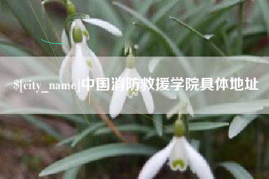 霸州中国消防救援学院具体地址