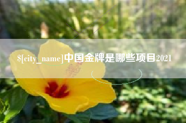 霸州中国金牌是哪些项目2021