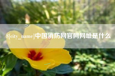 霸州中国消防网官网网址是什么