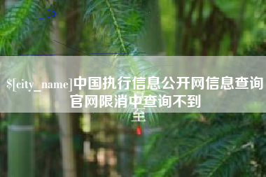 霸州中国执行信息公开网信息查询官网限消中查询不到