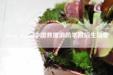 霸州中国救援消防学院招生简章