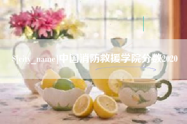 霸州中国消防救援学院分数2020