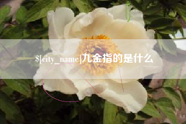 霸州九金指的是什么