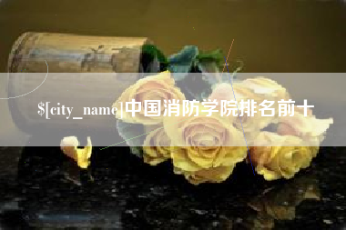 霸州中国消防学院排名前十