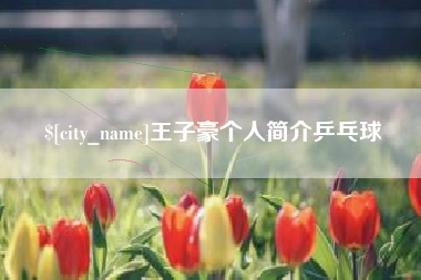 霸州王子豪个人简介乒乓球