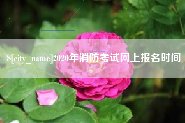 霸州2020年消防考试网上报名时间