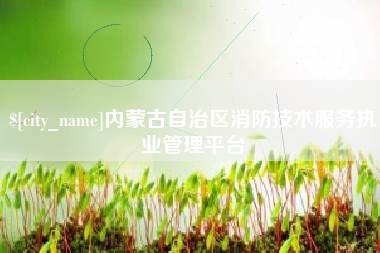 霸州内蒙古自治区消防技术服务执业管理平台