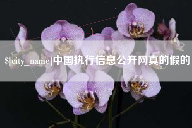 霸州中国执行信息公开网真的假的