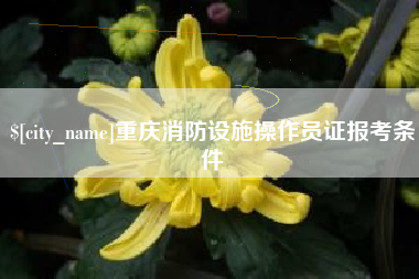 霸州重庆消防设施操作员证报考条件