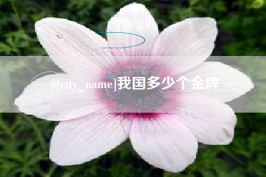 霸州我国多少个金牌