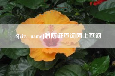 霸州消防证查询网上查询