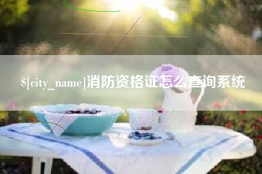 霸州消防资格证怎么查询系统