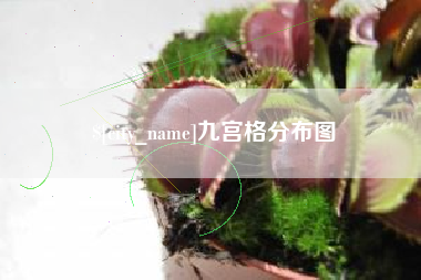 霸州九宫格分布图