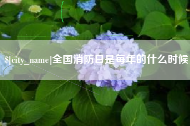 霸州全国消防日是每年的什么时候