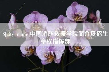 霸州中国消防救援学院简介及招生章程指挥部
