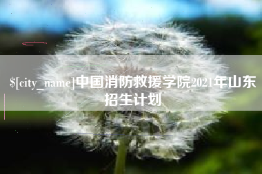 霸州中国消防救援学院2021年山东招生计划