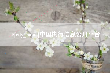 霸州中国执行信息公开平台
