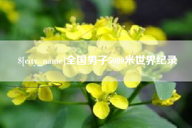 霸州全国男子5000米世界纪录