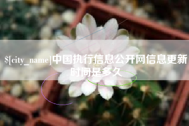 霸州中国执行信息公开网信息更新时间是多久