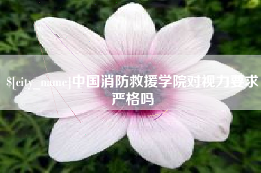 霸州中国消防救援学院对视力要求严格吗