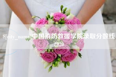 霸州中国消防救援学院录取分数线2020
