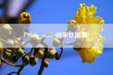 霸州国家队图案