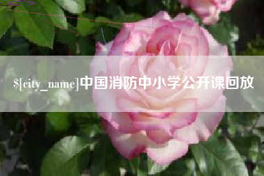 霸州中国消防中小学公开课回放