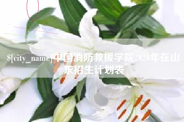 霸州中国消防救援学院2020年在山东招生计划表